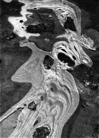 Bruce Hucko Photograph